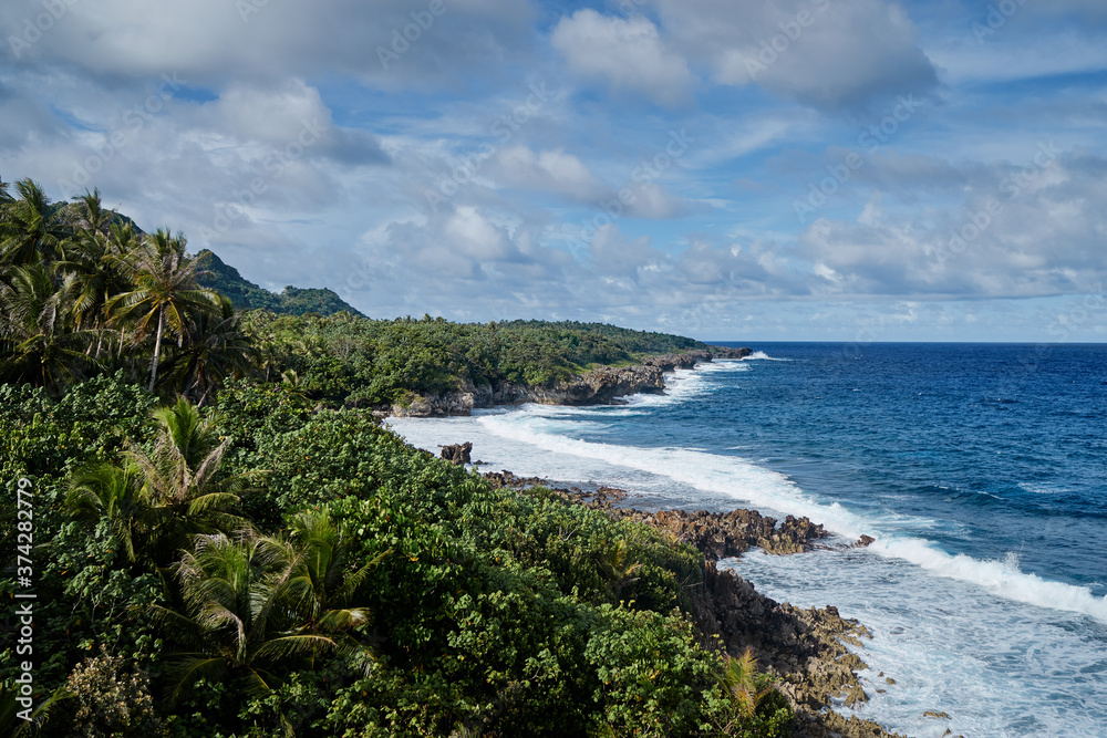 Obraz premium Tropical landscape. Seashore, big waves.