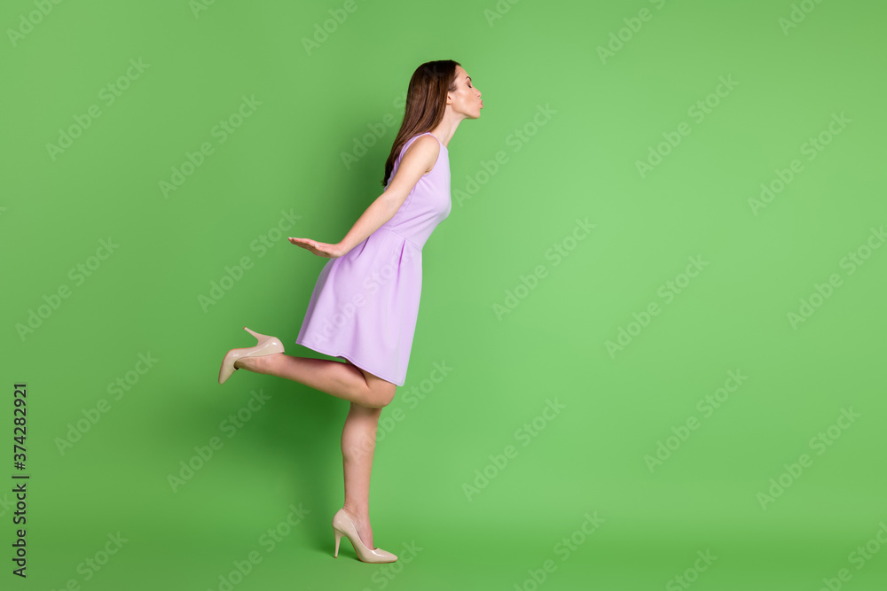Full length body size profile side view of her she nice-looking attractive pretty lovely lovable dreamy amorous girl posing sending air kiss 14 February date isolated green color background Full length body size profile side view of her she nice-looking attractive pretty lovely lovable dreamy amorous girl posing sending air kiss 14 February date isolated green color background