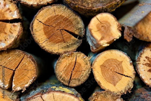 Close up of dry old firewood logs stacked in a pile.