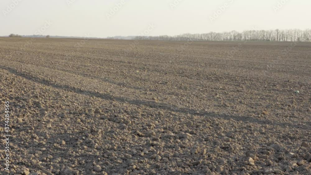 Empty brown field in a rural area on a sunny day Empty brown field in a rural area on a sunny day