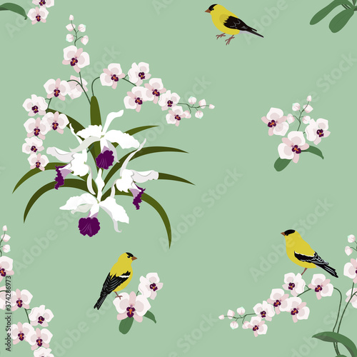 Seamless vector illustration with orchids and birds © Nadezhda