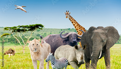 Wild animals of Africa (collage) © E.O.