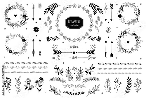Hand drawn vector floral elements. Branches and leaves. Herbs and plants collection. Vintage botanical illustrations.