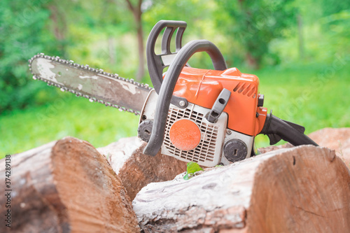 chainsaw lies on sawn logs among the greenery of the forest, selective focus blurred background