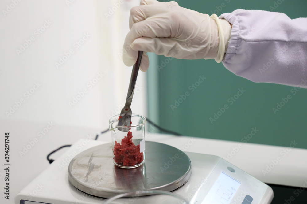 Meat Testing Foto de Scientists are measuring meat on a balance to use in food ...
