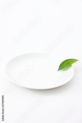 leaf on plate