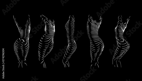 Vector illustration silhouette of a woman represented in stripes.
