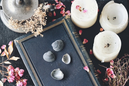 Divination using sea shells in hoodoo witchcraft practice on wiccan witch altar. Four seashells laying on blue vintage (1878) book with candles, dried herbs, flowers, rose petals in black background photo