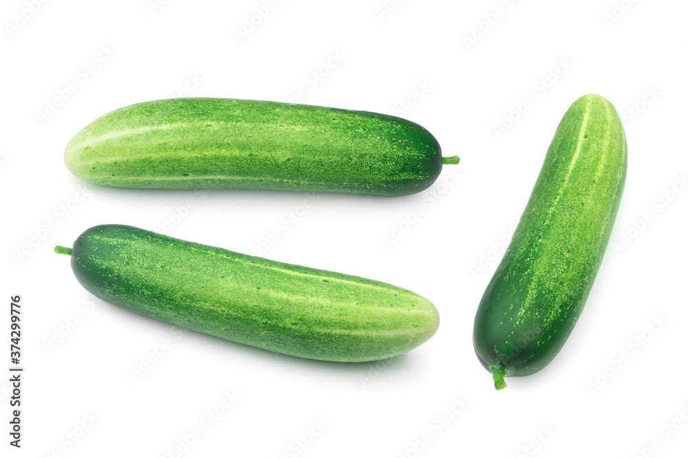 Fresh cucumbers isolated on white background. Fresh cucumbers isolated on white background.