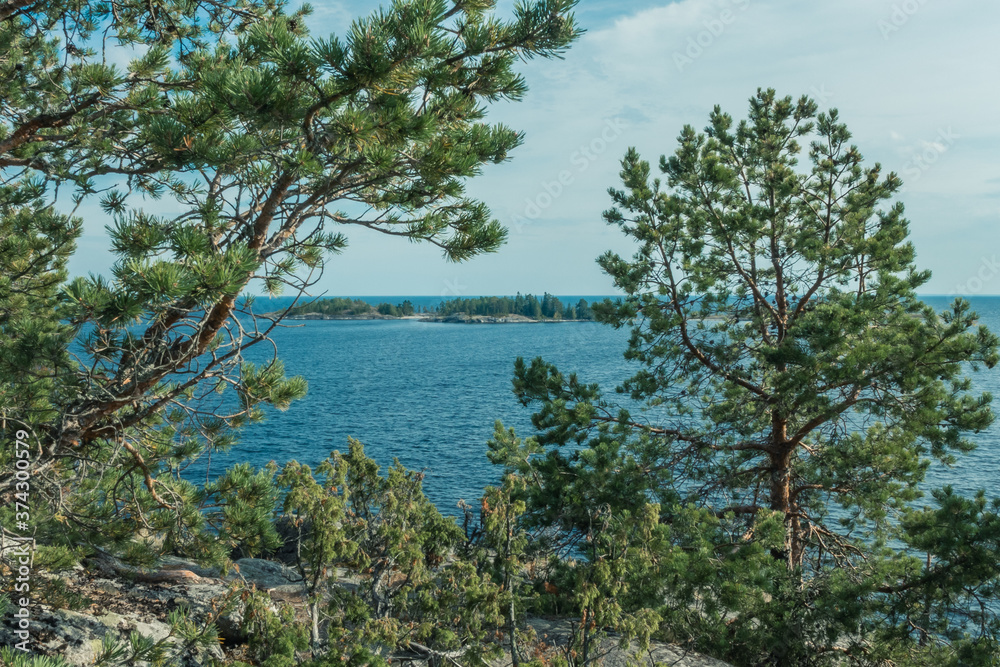 View on a island through pines on Ladoga lake in Karelia shot on day under blue cloudy sky