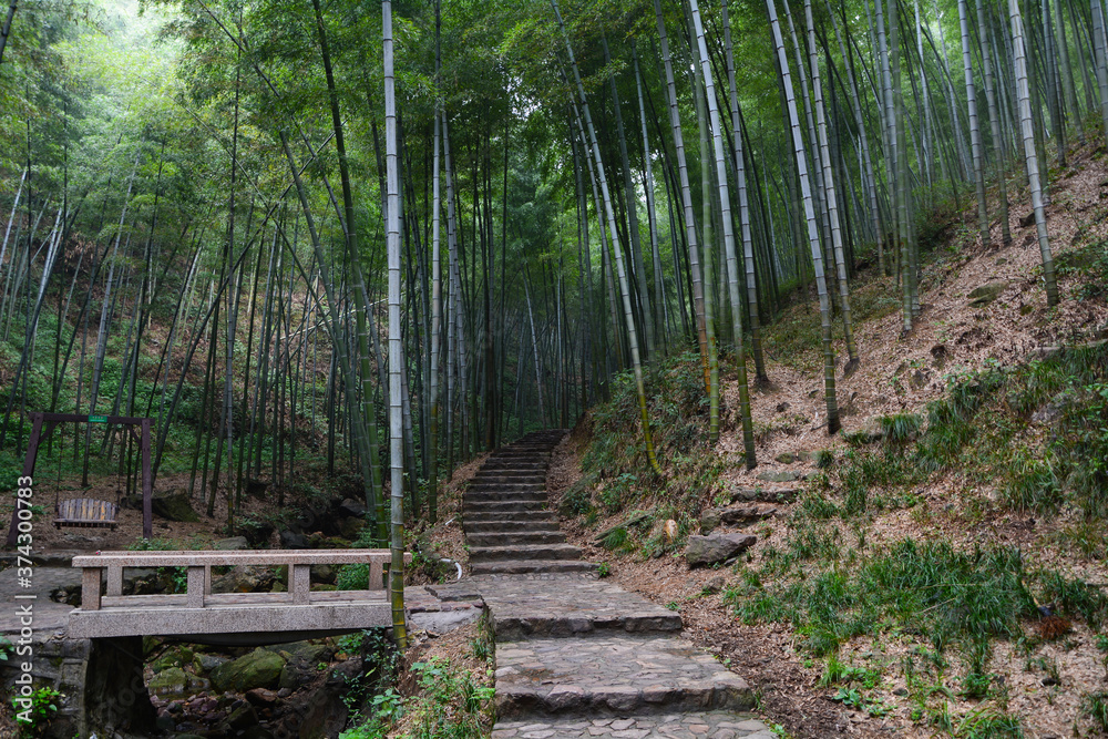 Obraz premium Summer scenery in Yixing Zhuhai Scenic Spot, Jiangsu Province, China