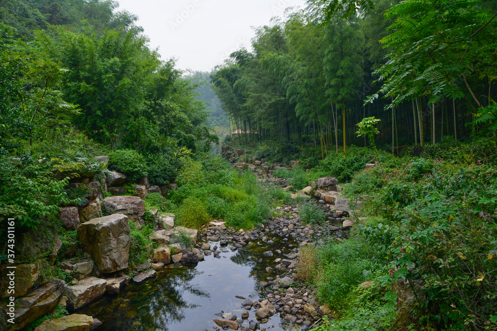 Naklejka premium Summer scenery in Yixing Zhuhai Scenic Spot, Jiangsu Province, China
