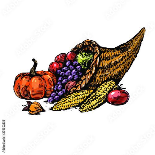 Сornucopia with fruit and vegetables, horn of plenty, harvest: pumpkin, corn, tomatoes, grape. Hand drawn vintage stock vector illustration isolated on white background.