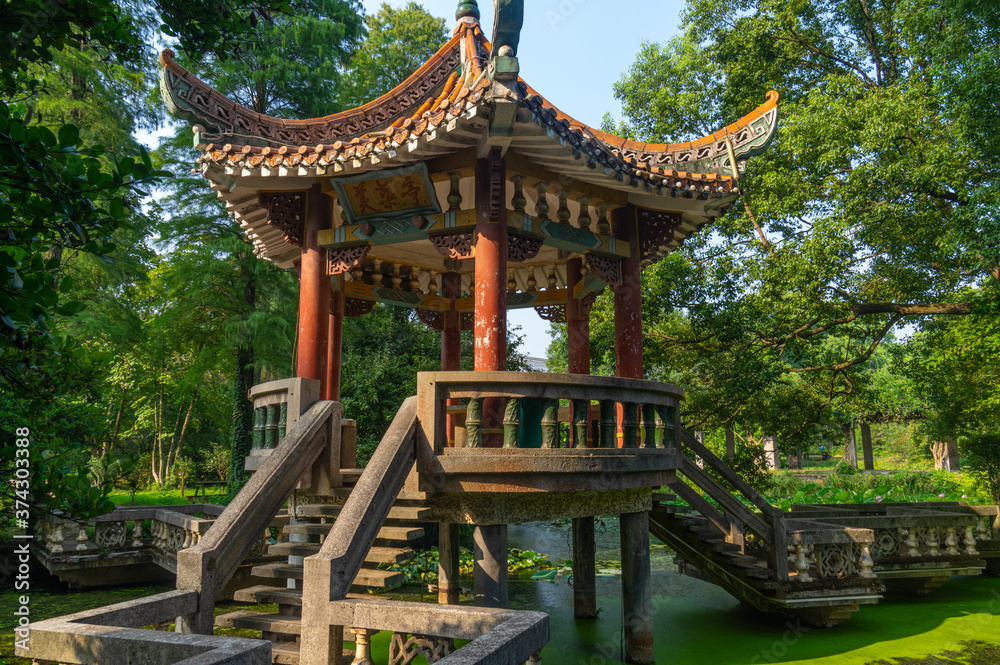 Summer scenery of Wuhan Botanical Garden, Hubei, China Summer scenery of Wuhan Botanical Garden, Hubei, China