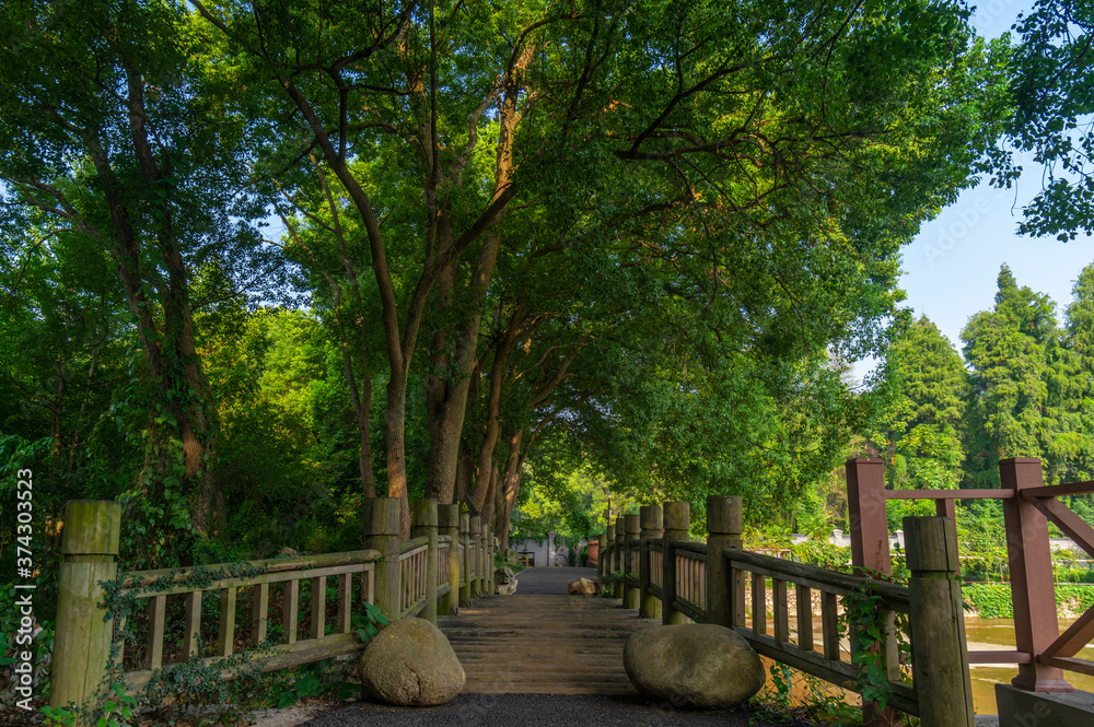 Obraz premium Summer scenery of Wuhan Botanical Garden, Hubei, China