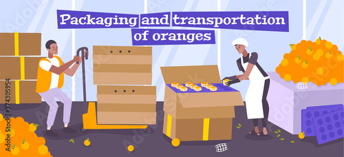 Packaging And Transportation Of Oranges