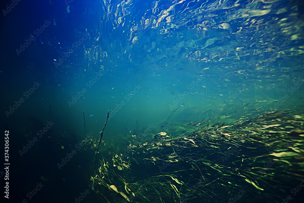 underwater mountain clear river / underwater photo in a freshwater