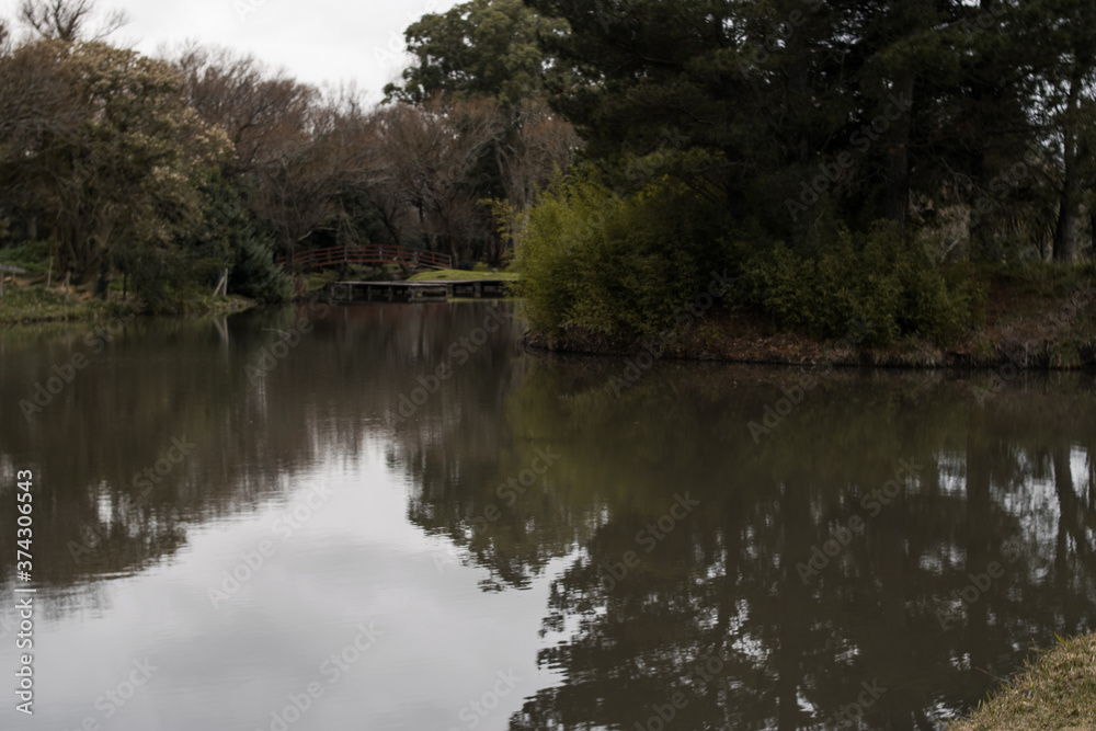 Fototapeta premium Lago natural