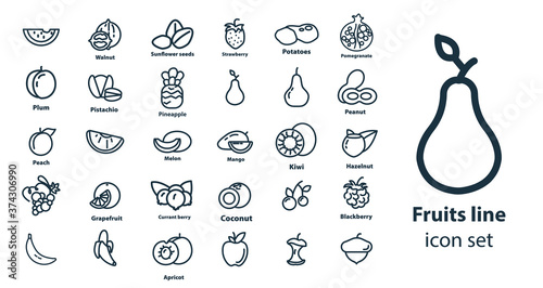 fruit line icon set, with watermelon, melon, apple, peach, grapes, coconut, orange, kiwi, mango