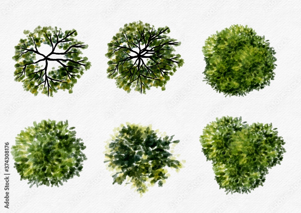set of watercolor green trees top view isolated For landscape plan and architecture layout set of watercolor green trees top view isolated For landscape plan and architecture layout