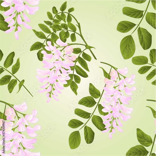Seamless texture Locust tree twigs with flowers and leaves watercolor vintage vector illustration editabe hand draw