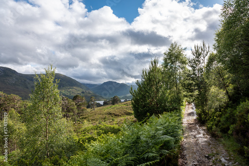 Beautiful shot of Glen Affric path photo