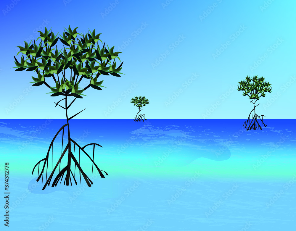 Obraz premium mangrove tree