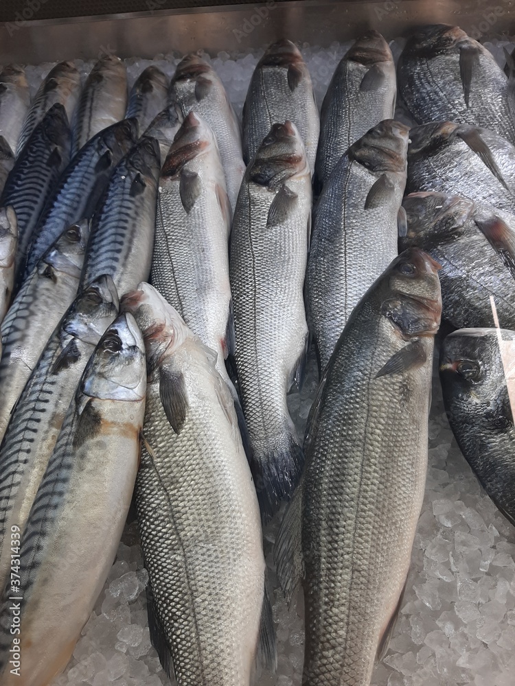 Obraz premium live fresh fish on the counter