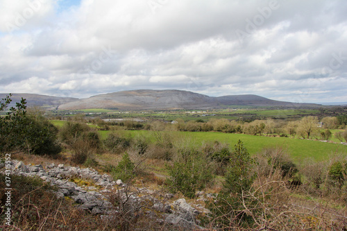 Rocky landscape with vegetation and a mountain in the background in Ireland