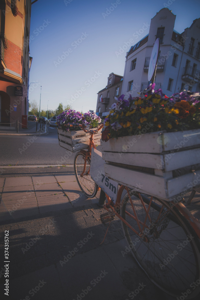 Poznan - Flower Bike