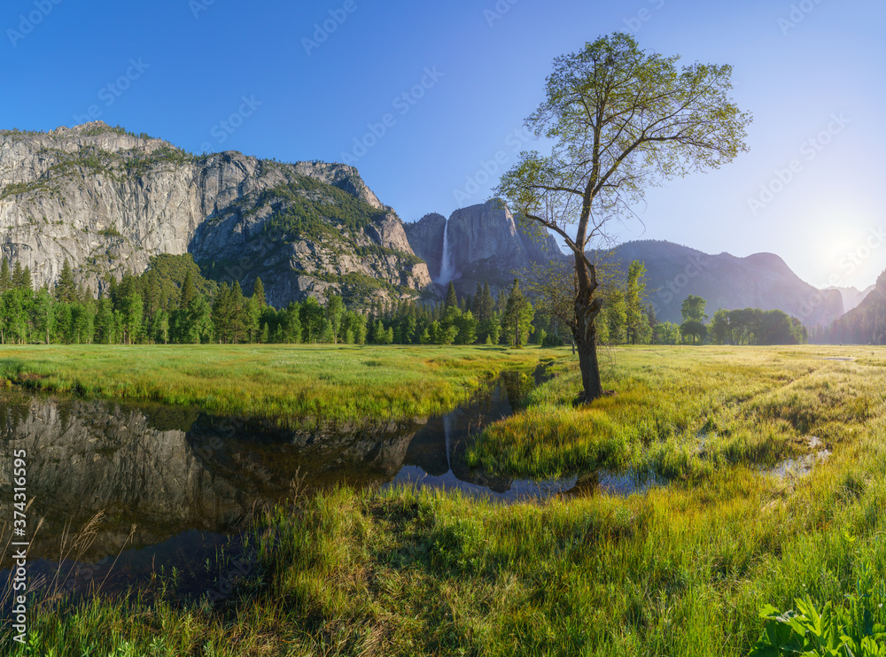 Fototapeta premium yosemite falls from yosemite valley, california, usa