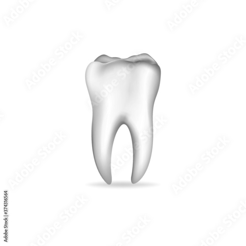 Single White Tooth vector isolate on white background illustration.