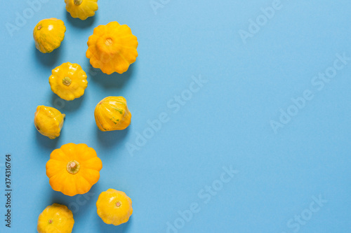 Fresh harvest of zucchini and pattypan squash, yellow squash and pattison on blue background photo