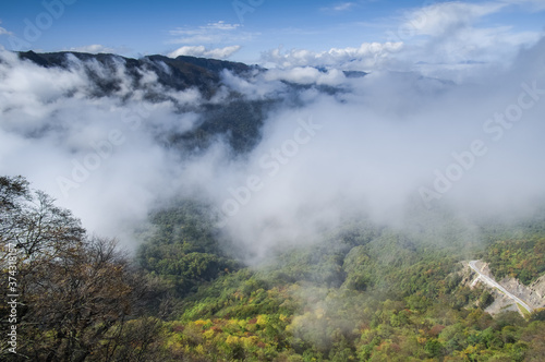 Early autumn scenery of Hubei Shennongjia National Geopark Scenic Area, China