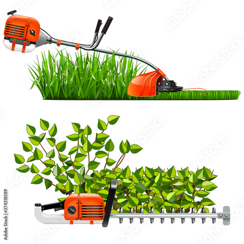 Vector Mowing Lawns and Bushes
