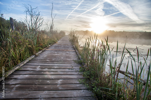 Fototapeta Naklejka Na Ścianę i Meble -  wooden bridge along the Schwenninger Moos Germany 