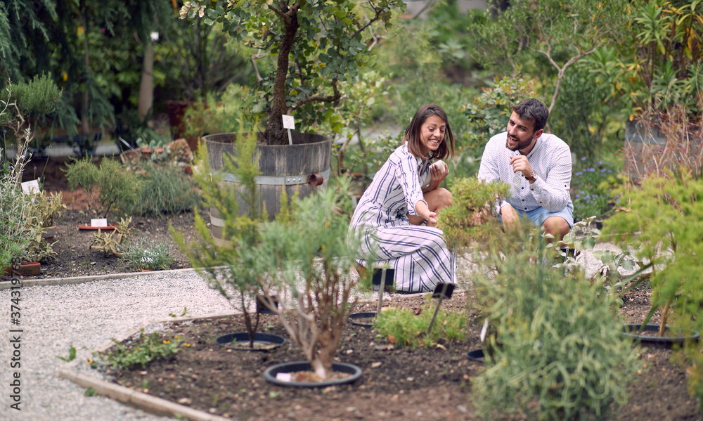 Designer woman choose beautiful plant in eco garden for new client. Designer woman choose beautiful plant in eco garden for new client.