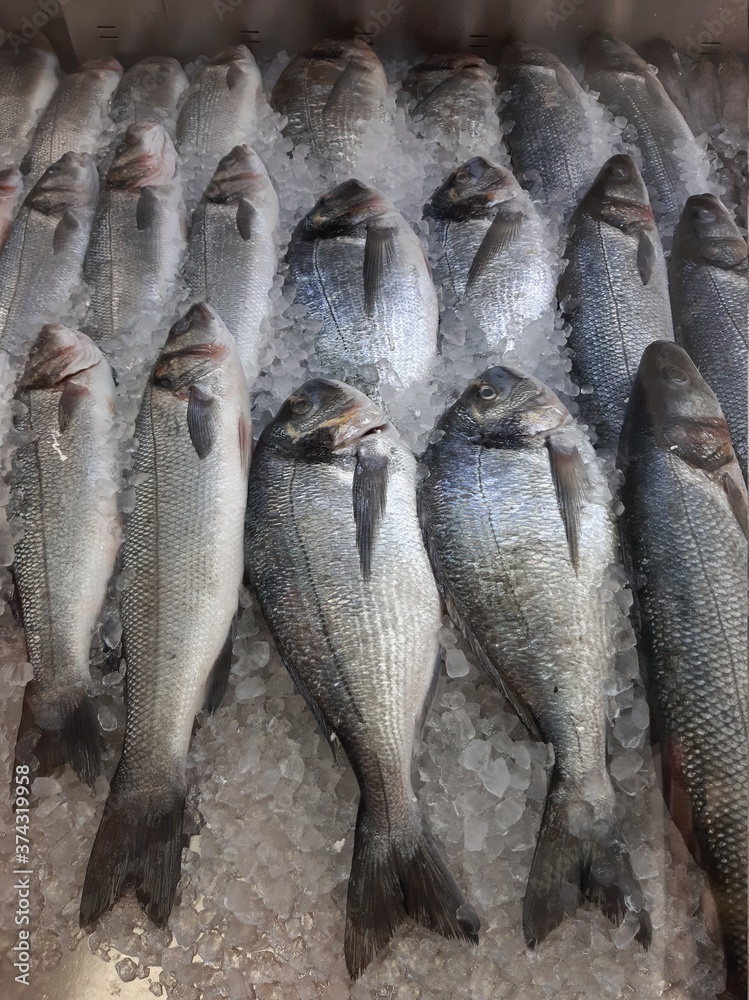 live fresh fish on the counter