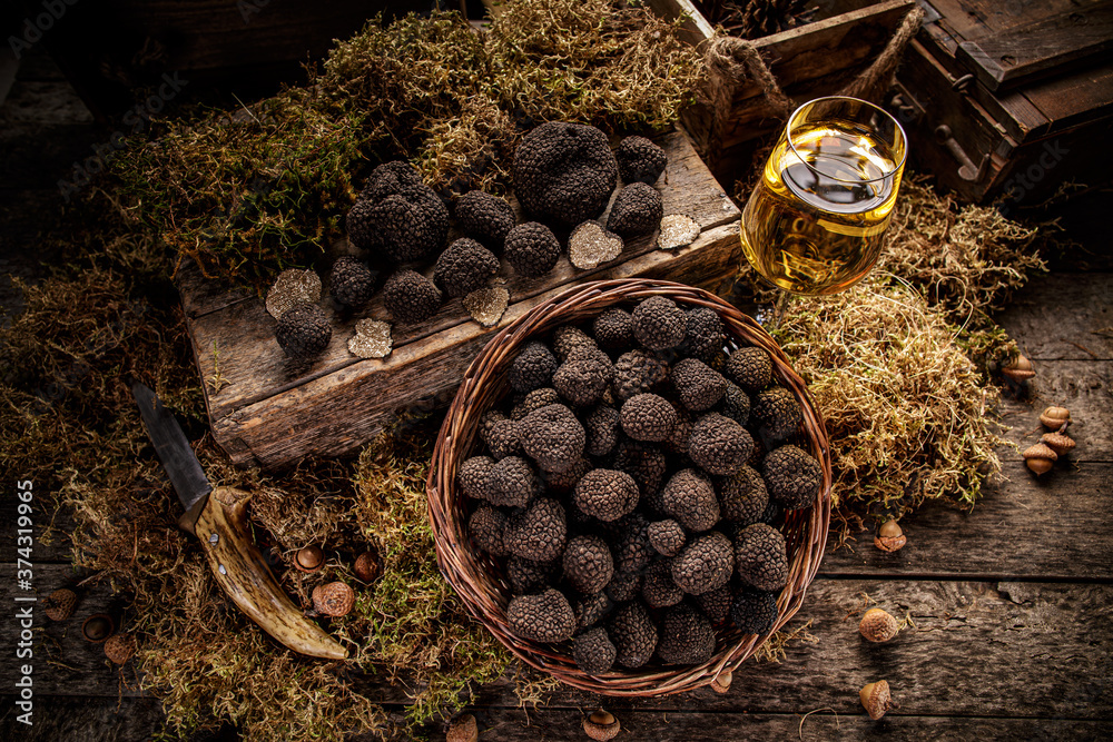 Mushroom black truffle - obrazy, fototapety, plakaty 