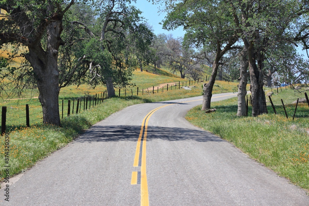 Rural California road