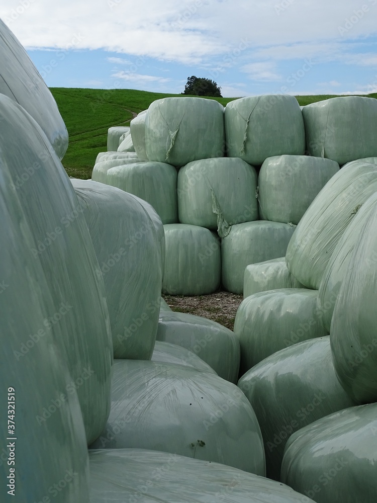 Fototapeta premium In Folie eingewickelte Strohballen auf Halde