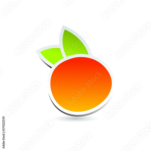 orange vector isolate on white background