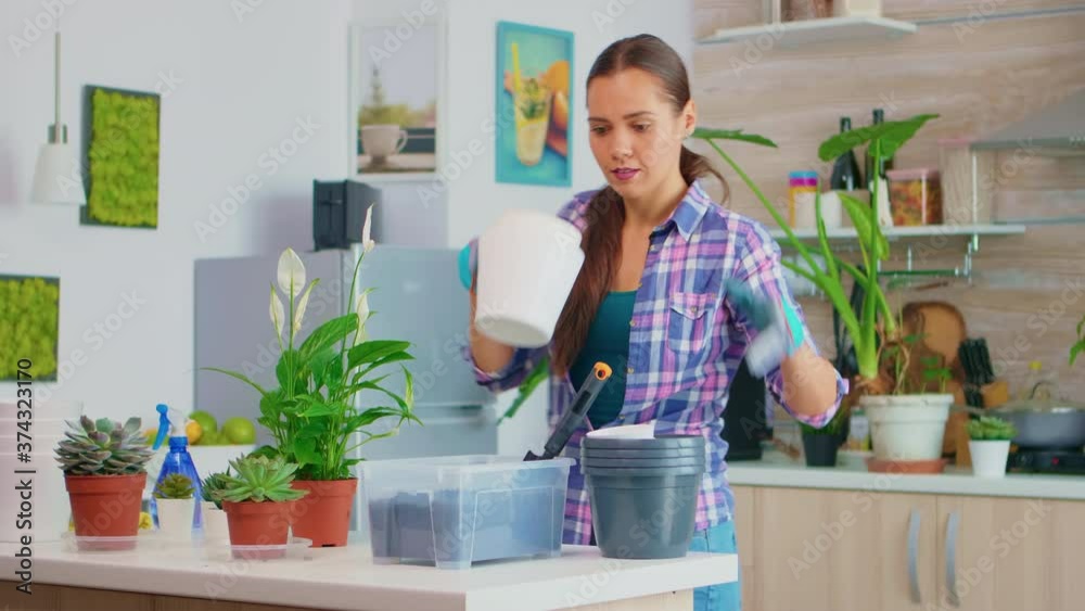 Young woman bringing flowerpots on work table for home gardening. Using fertil soil with shovel, white ceramic pots and houseplant prepared for replanting for house decoration, caring them. Young woman bringing flowerpots on work table for home gardening. Using fertil soil with shovel, white ceramic pots and houseplant prepared for replanting for house decoration, caring them.