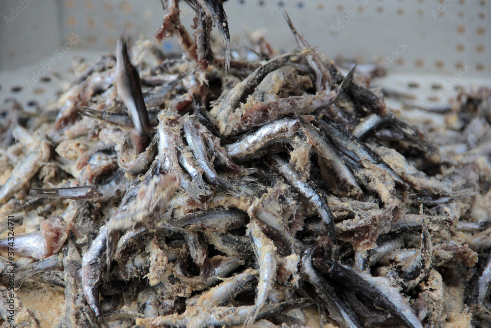 Anchovies are fried in vegetable oil in a pan. Anchovies are fried in vegetable oil in a pan.
