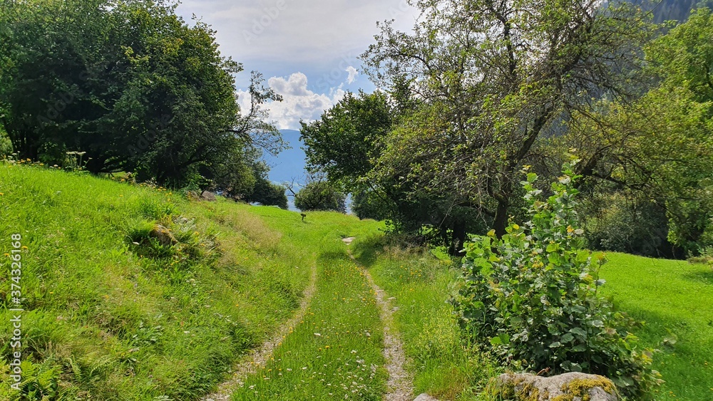 Fototapeta premium Wanderweg, Wandern, Südtirol
