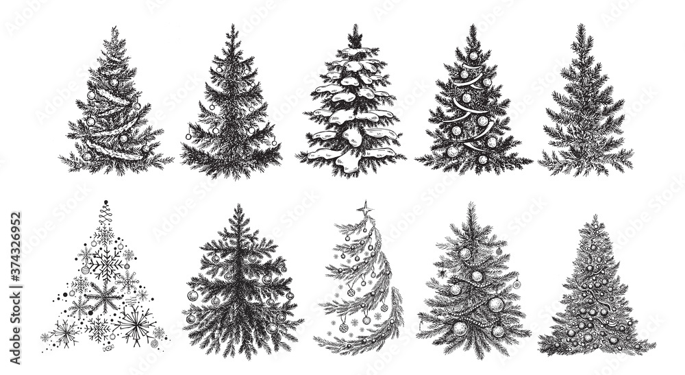 Christmas tree. Hand drawn illustration.	
