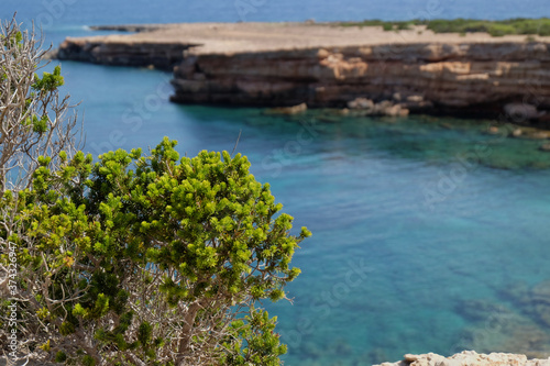 Fototapeta Naklejka Na Ścianę i Meble -  Beautiful sea view on Ibiza Cala de Sant Vicent