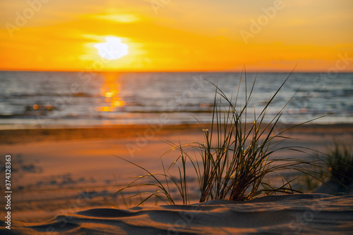 Beautiful golden sunset through the grass at the beach. Sun setting into the sea on tranquil evening. Nobody © CrispyMedia