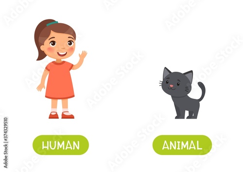 Human and animal antonyms word card vector template. Opposites concept. Flashcard for english language learning. Little girl and cute kitten.