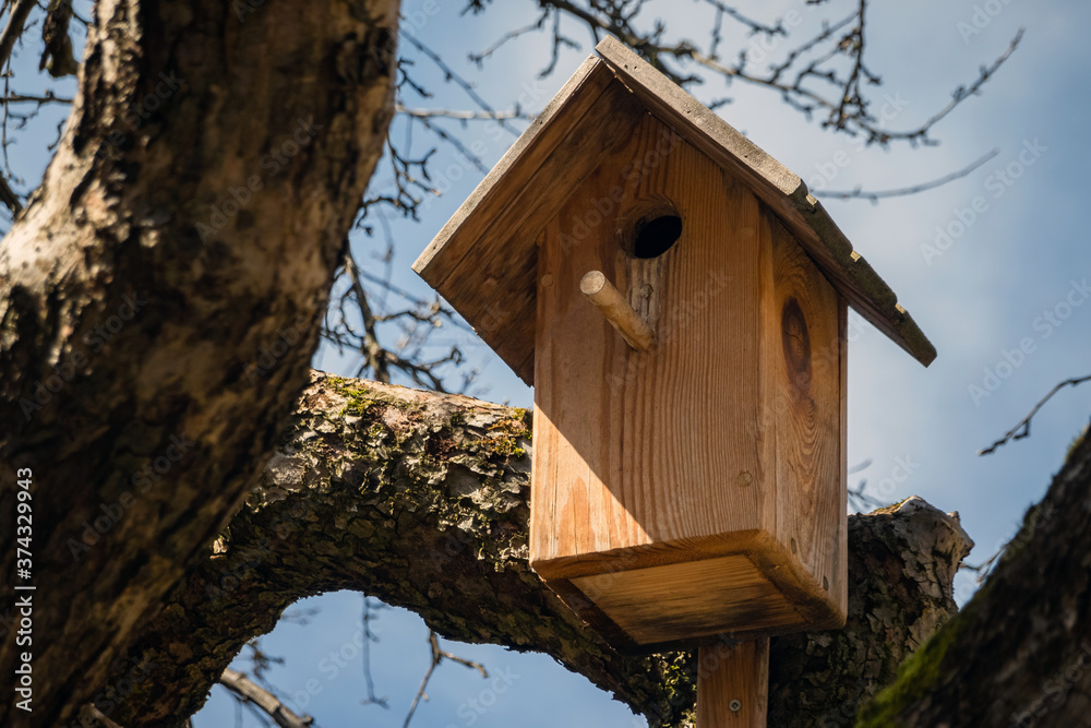 Nesting box in the tree on a sunny day. Wooden bird house hanging on the tree branch outdoors Nesting box in the tree on a sunny day. Wooden bird house hanging on the tree branch outdoors